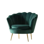 Beautiful Modern Sofa